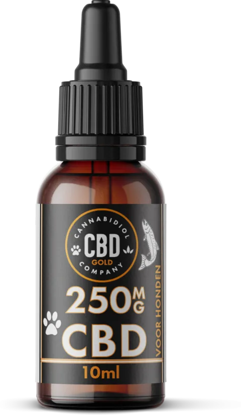 Cannabidiol Company CBD op zalmoliebasis voor honden, 250 mg, 10 ml